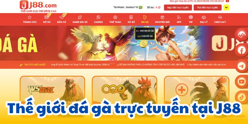 Thế giới đá gà trực tuyến tại J88