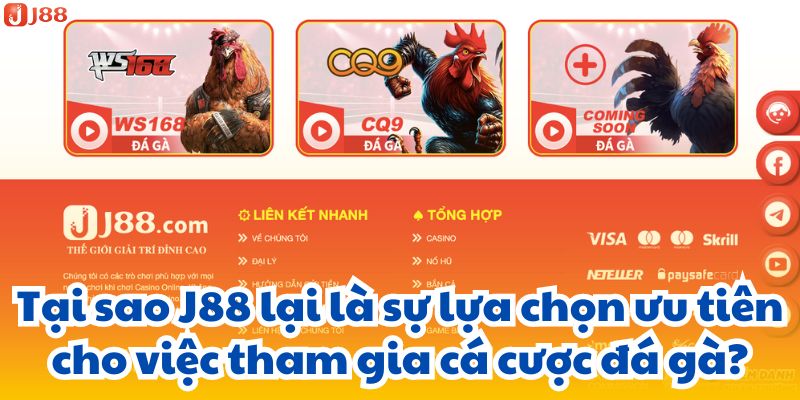 Tại sao J88 lại là sự lựa chọn ưu tiên cho việc tham gia cá cược đá gà?